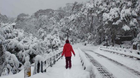 Bakıda temperatur normadan 4° aşağı düşdü FAKTİKİ HAVA