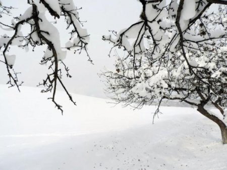 Sabah qarlı küləkli hava qayıdır XƏBƏRDARLIQ