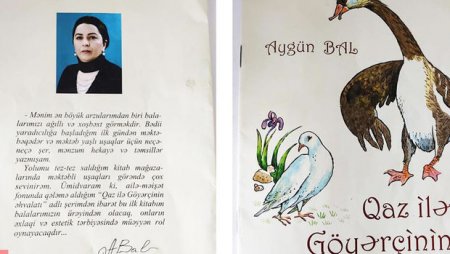 Aygün Balın göyərçinə vurulan evli qazı: Uşaqlara nə öyrədilir? - VİDEO