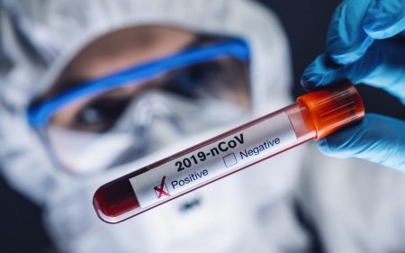 Daha 14 şagirddə koronavirus aşkarlanıb