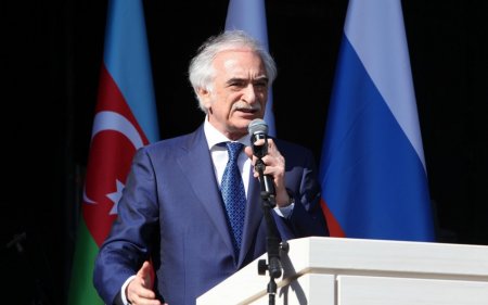 Səfir: "Məcburi köçkünlər öz yurdlarına qaytarılacaq"