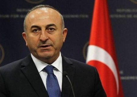 "Cənubi Qafqazda sabitlik Türkiyə üçün çox önəmlidir" - Çavuşoğlu