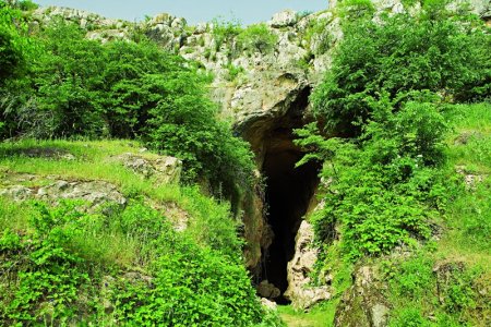 Azıx mağarasında tədqiqat işləri bərpa olunacaq - AÇIQLAMA