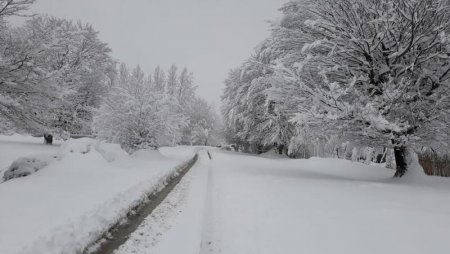 Hava yenidən KƏSKİN PİSLƏŞİR: 22 fevraladək... - Umayra Tağıyevadan XƏBƏRDARLIQ