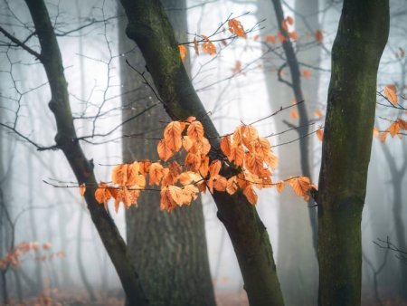 Sabahdan havanın temperaturu yüksələcək