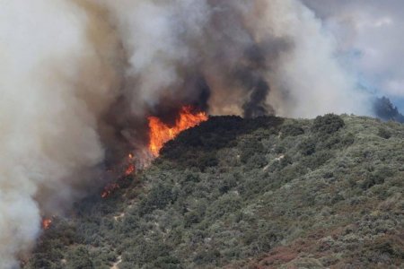 İranda meşə yanğını: 200 hektarlıq ərazi külə döndü