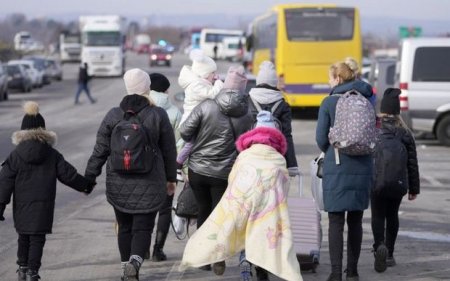 Azərbaycanlılar Ukraynanın qərbində müvəqqəti sığınacaqlar təşkil edirlər