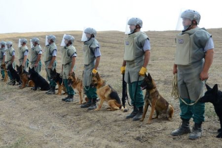 Azərbaycan daha beş minaaxtaran it alır