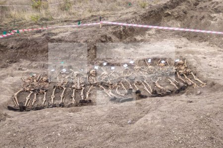 Şöbə rəisi: “Xocavənddə aşkarlanan kütləvi məzarlıqdakı sümüklər hərbçilərimizə məxsusdur” – YENİLƏNİB + FOTO