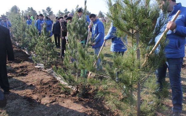 Ulu öndərin anadan olmasının 100-cü ildönümü: Ümumilikdə üç milyon ağac əkiləcək