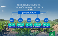 Azərbaycanda şəkər çuğundurunun tədarük qiyməti artırılıb