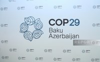 COP29 könüllüləri İçərişəhərdə ekoloji aksiya təşkil edib