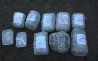 Qazaxıstanda polis mənzildən 83 vedrə marixuana müsadirə edib