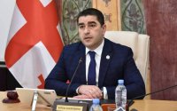 Papuaşvili Aİ səfirinə: Avropa maliyyəsi zorakılığa yönəlməməlidir